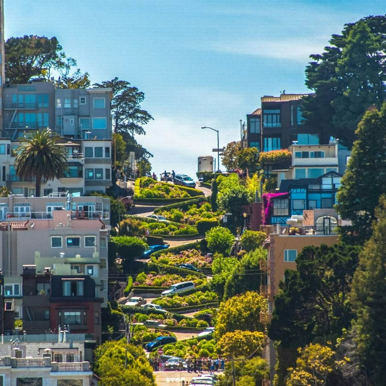 San Francisco: Self-Guided Driving Tour - Photo 1 of 8